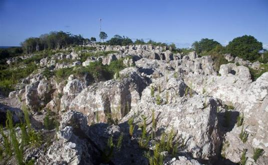 Possible Filming Locations